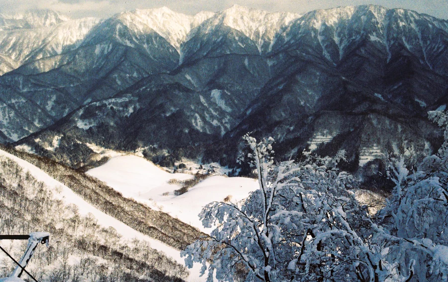 Japanese Alps ridgeline over frosted trees in morning light