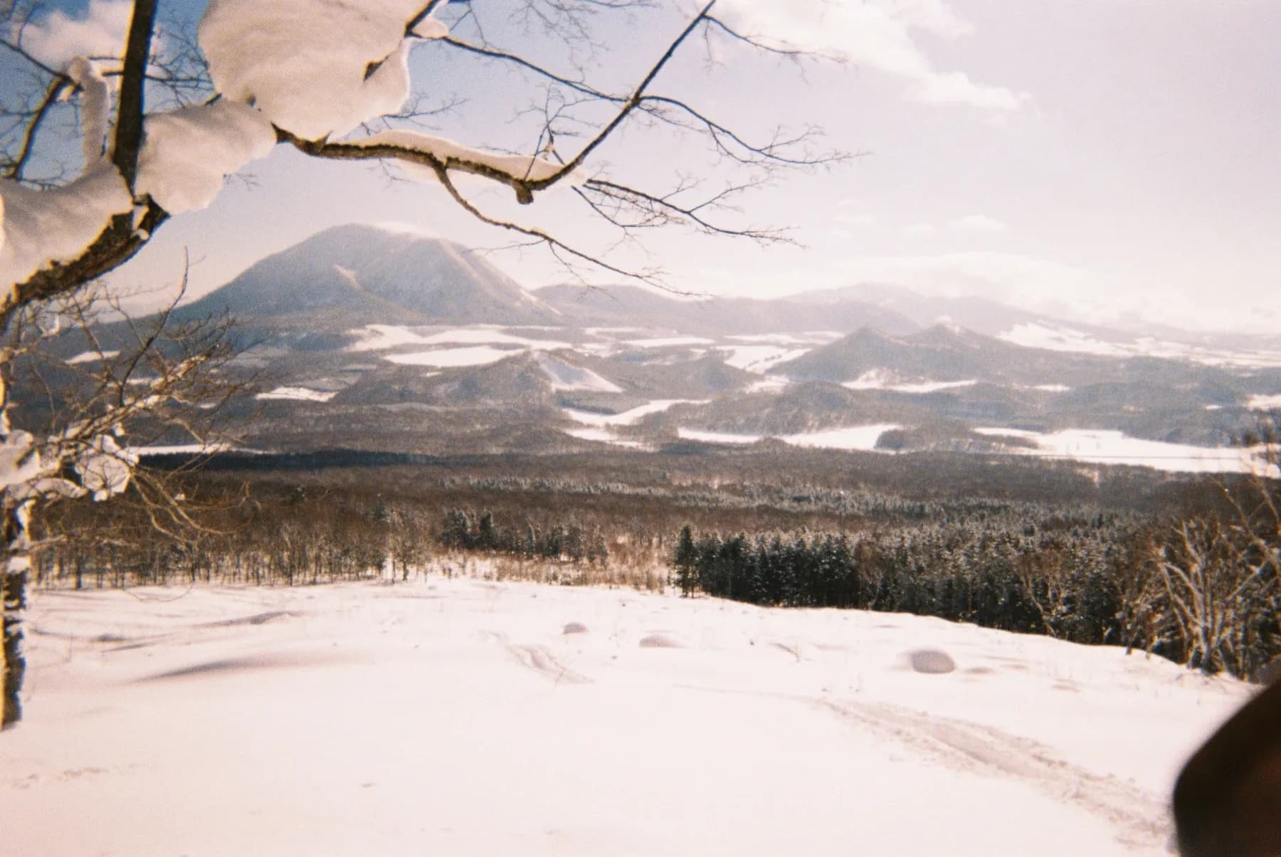 Snow-covered field and distant Mount Yotei framed by a snowy branch