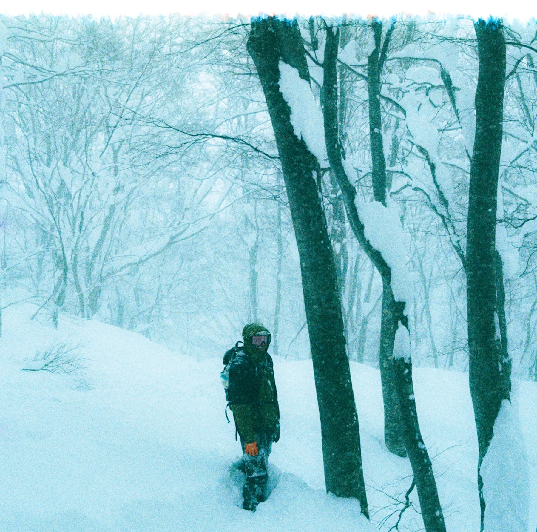 Snowboarder standing in a blizzard among bare trees, cool-toned film