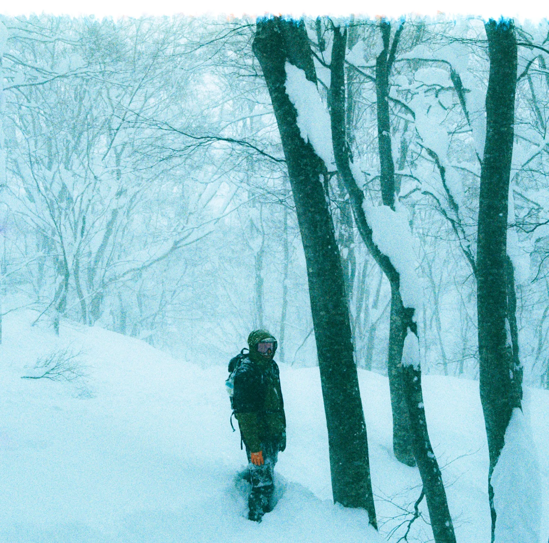 Snowboarder standing in a blizzard among bare trees, cool-toned film