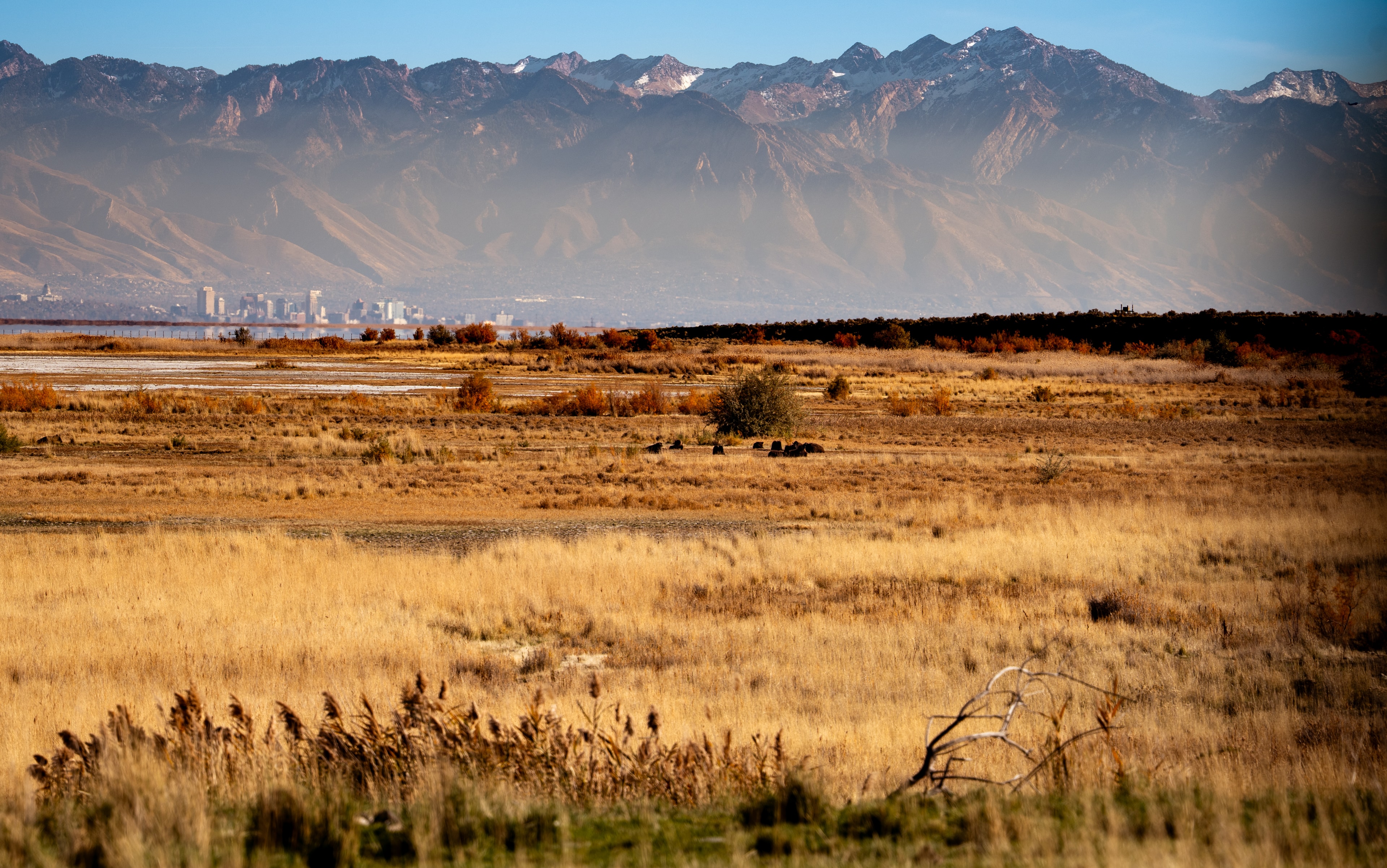 Antelope Island Utah