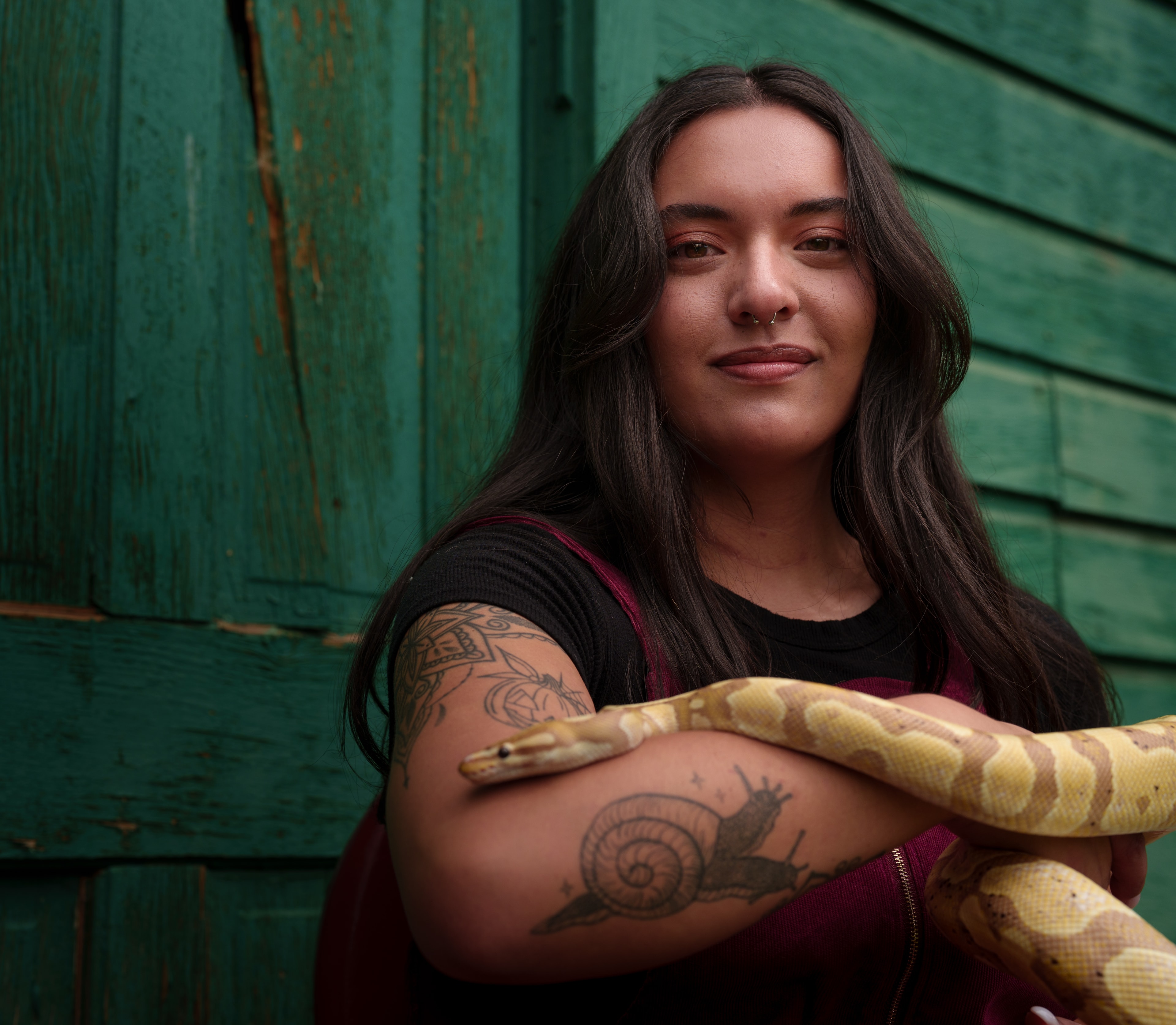 sunflower, snake, portrait, photo shoot ideas